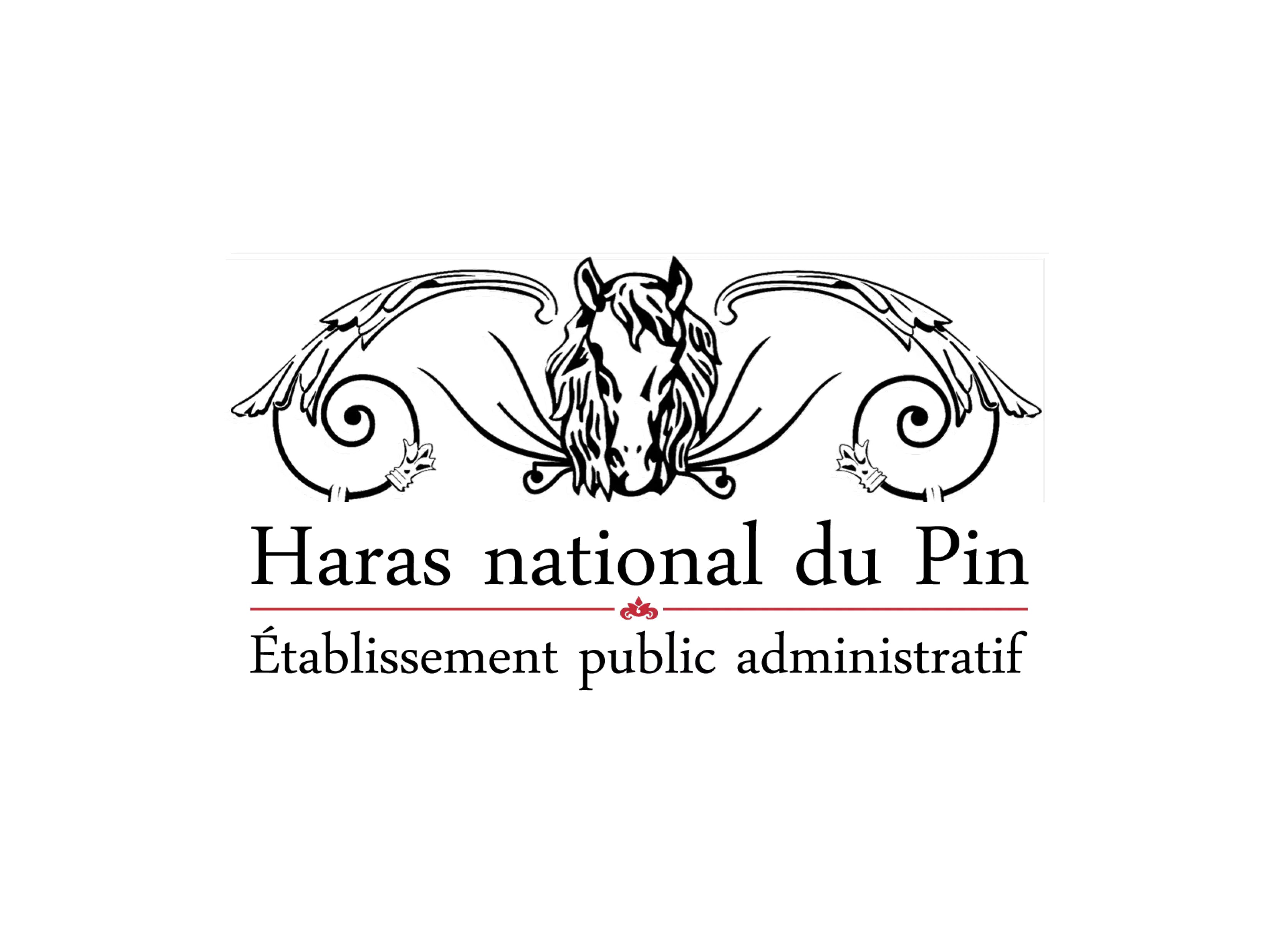 Marché de noël du haras du pin du 5 au 7 Décembre