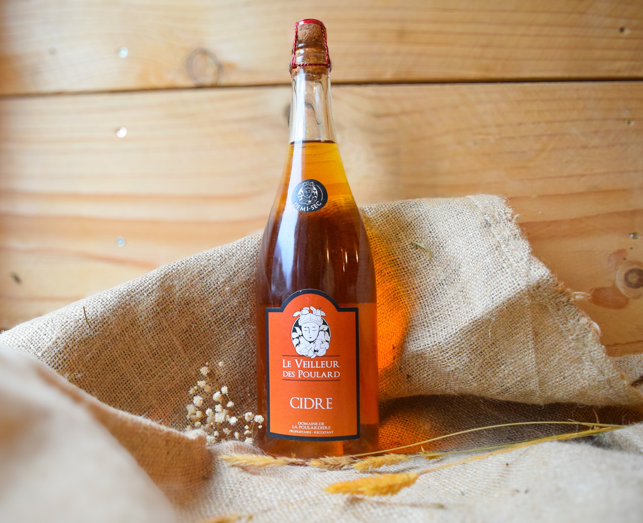Cidre Demi-Sec BIO - 75cl