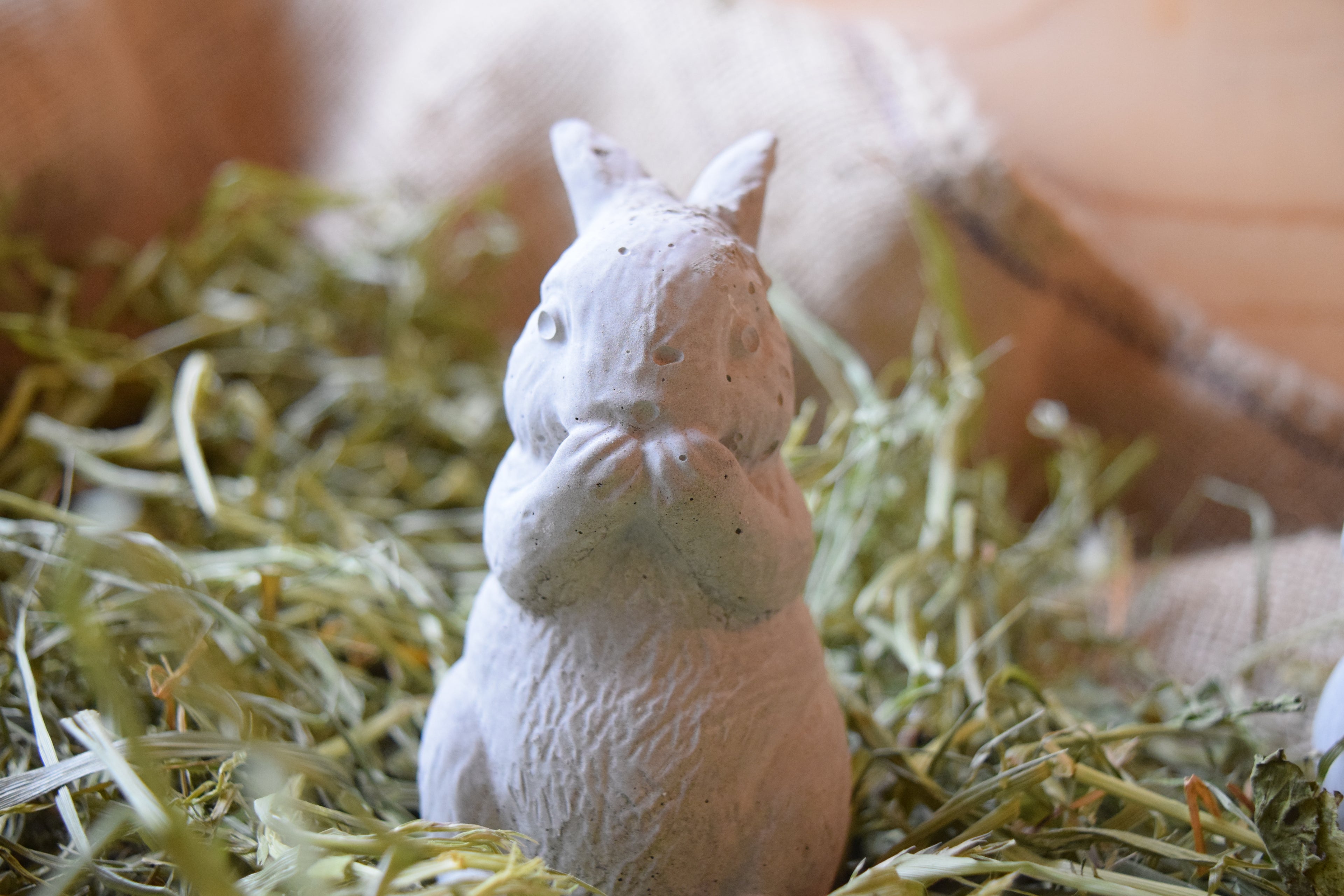 Création lapin en ciment