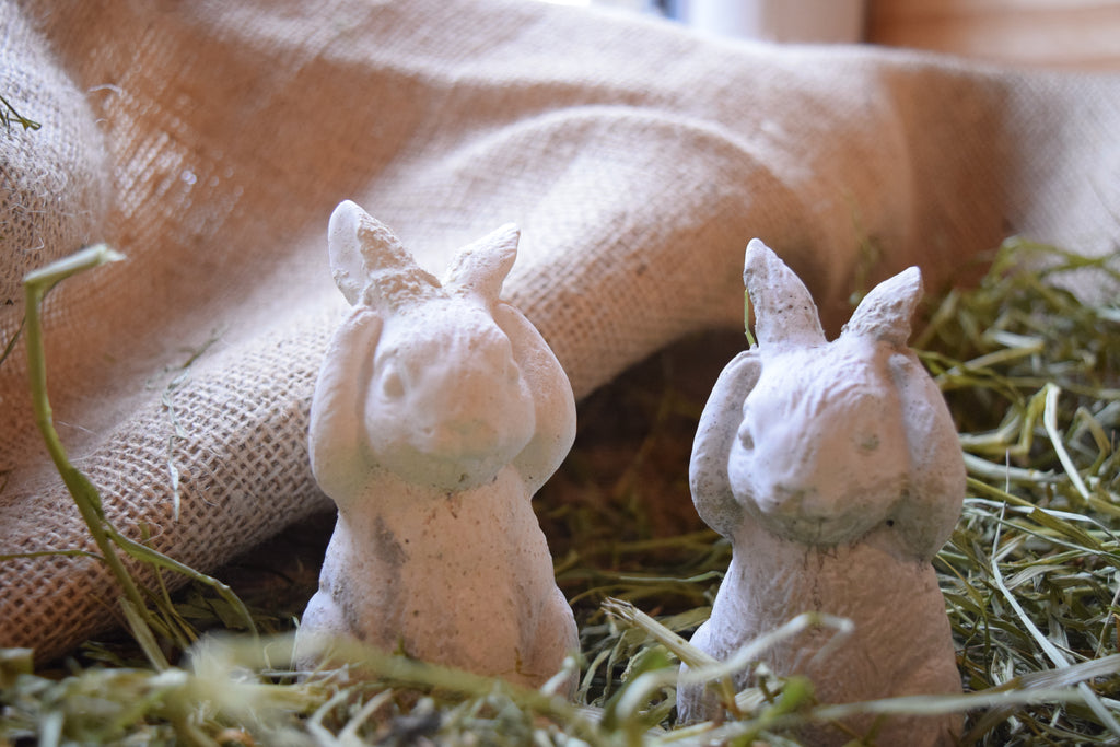 Création lapin en ciment