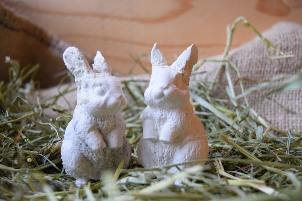 Création lapin en ciment