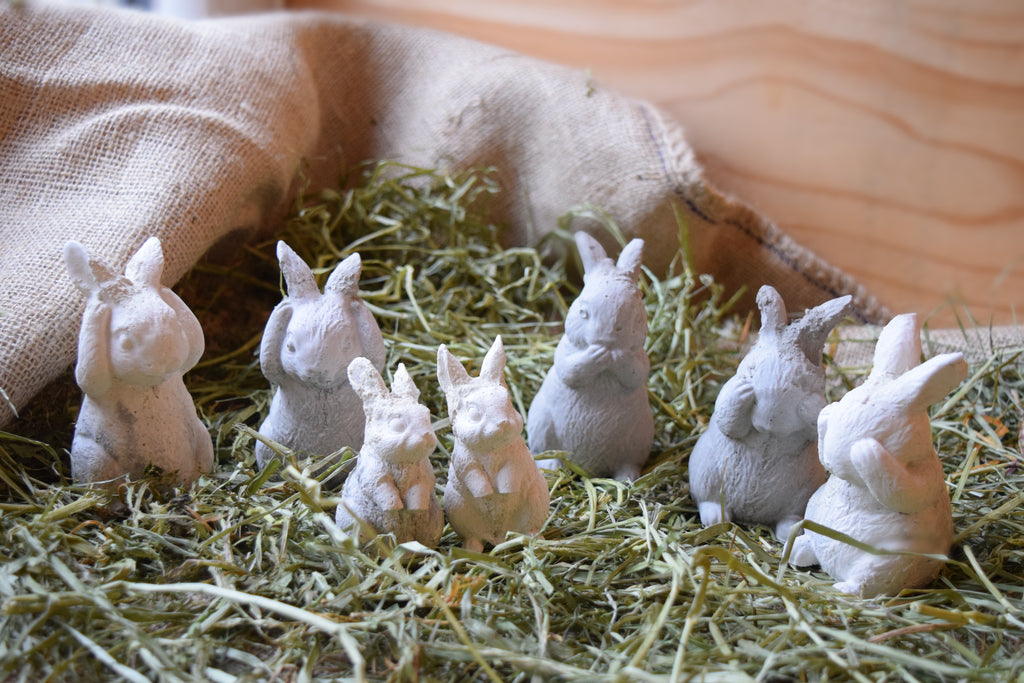 Création lapin en ciment