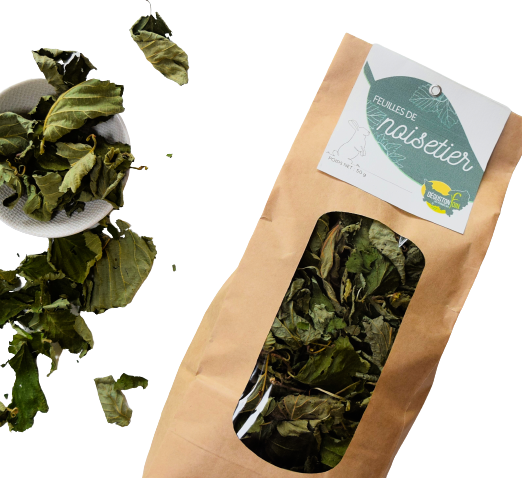 Feuilles de noisetier pour lapins et rongeurs - 50g