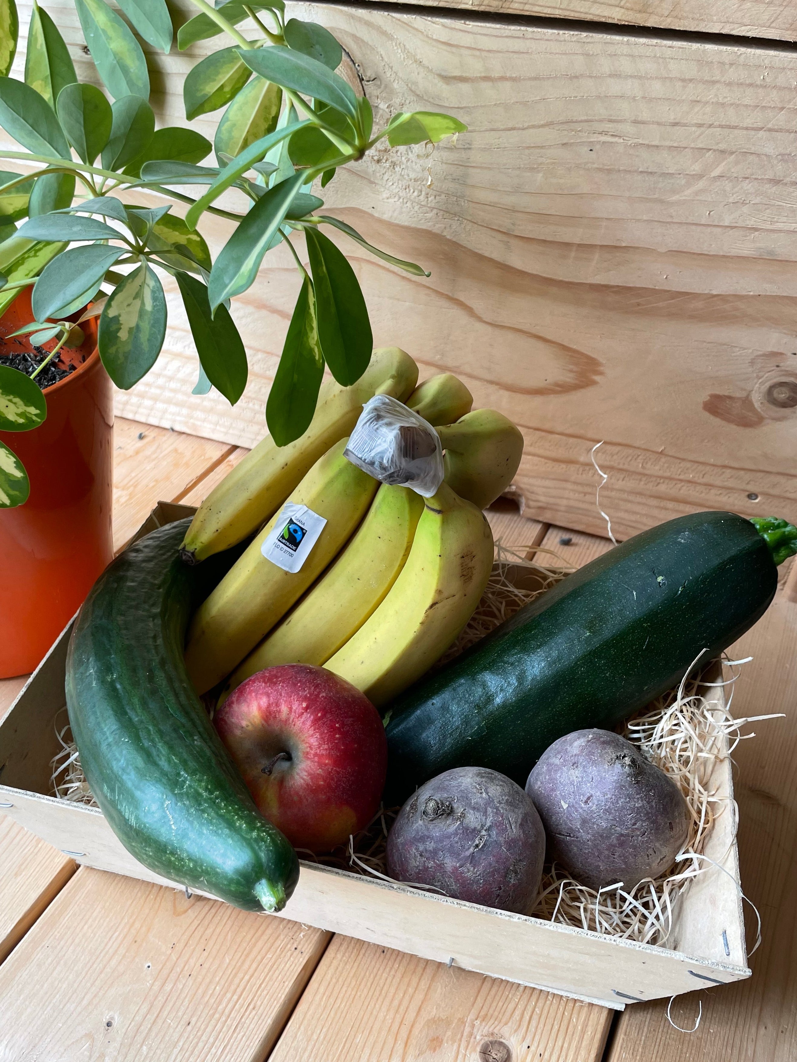 Paniers de fruits et légumes bio de saison