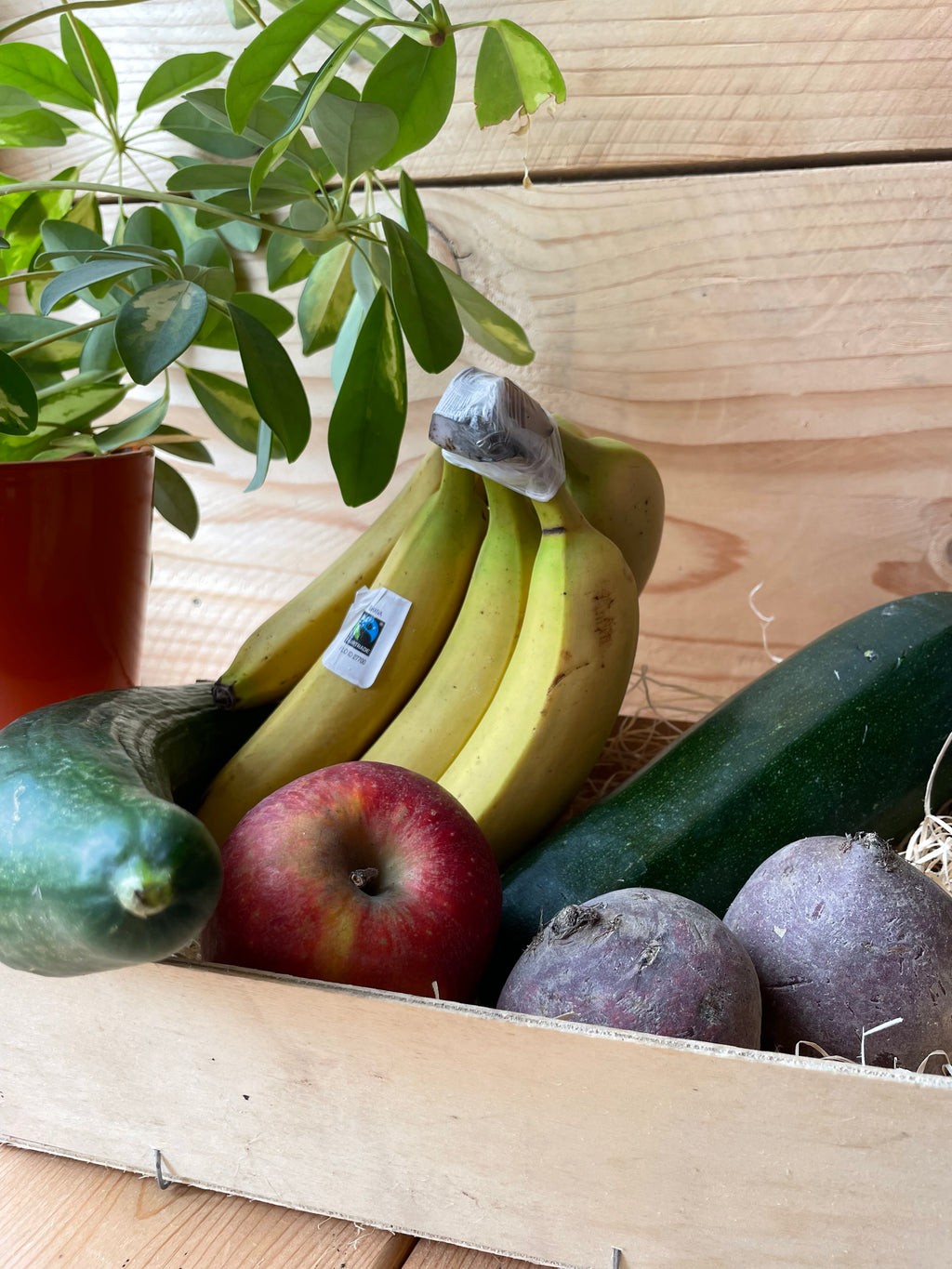 Paniers de fruits et légumes bio de saison