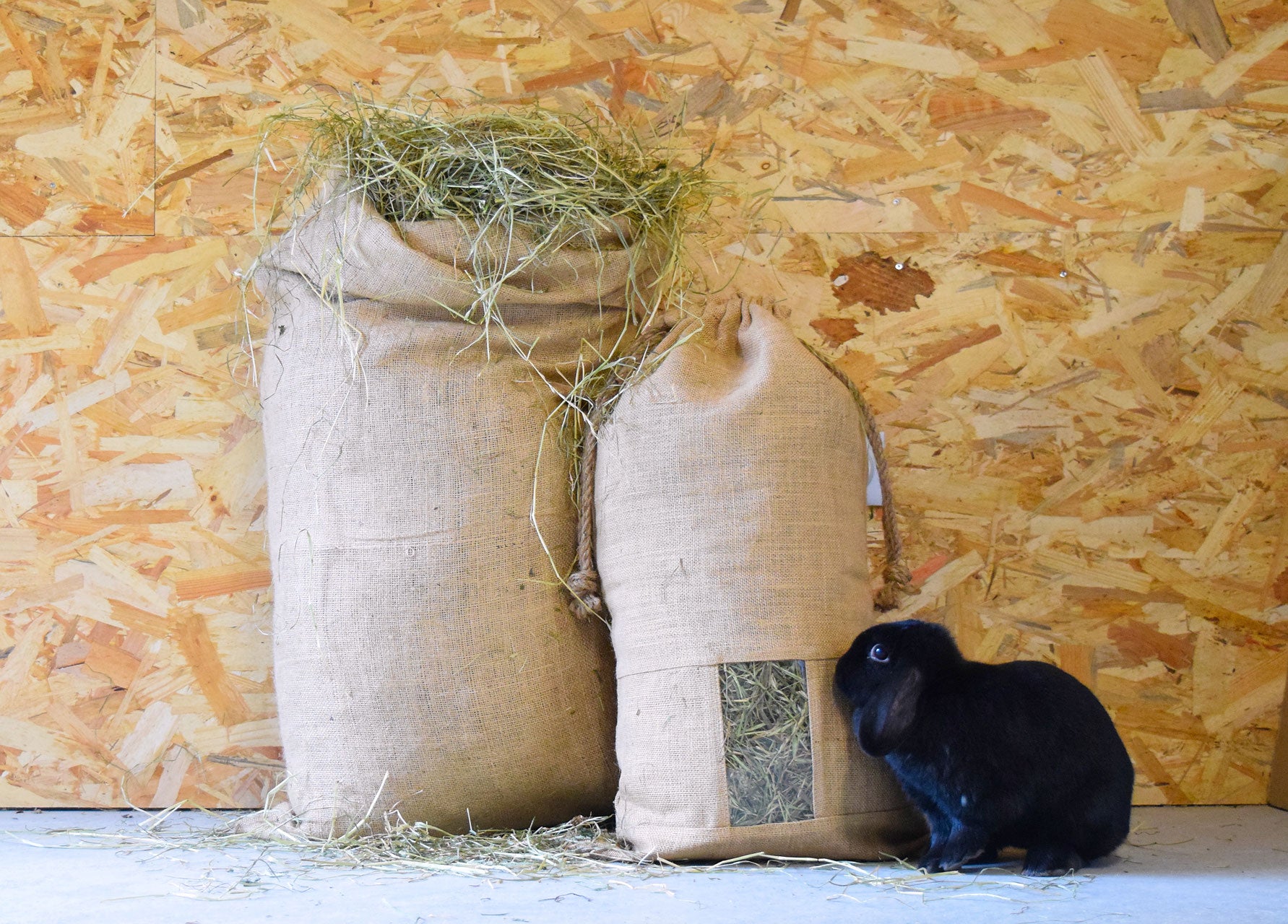 Foin Bio de Normandie - Toile de jute