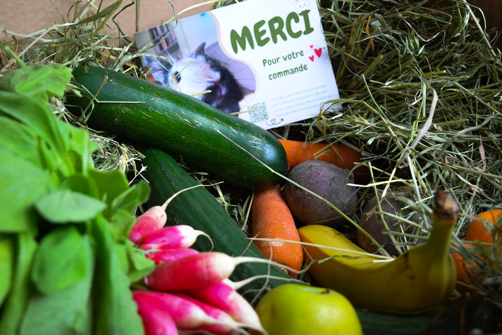 Paniers de fruits et légumes bio de saison