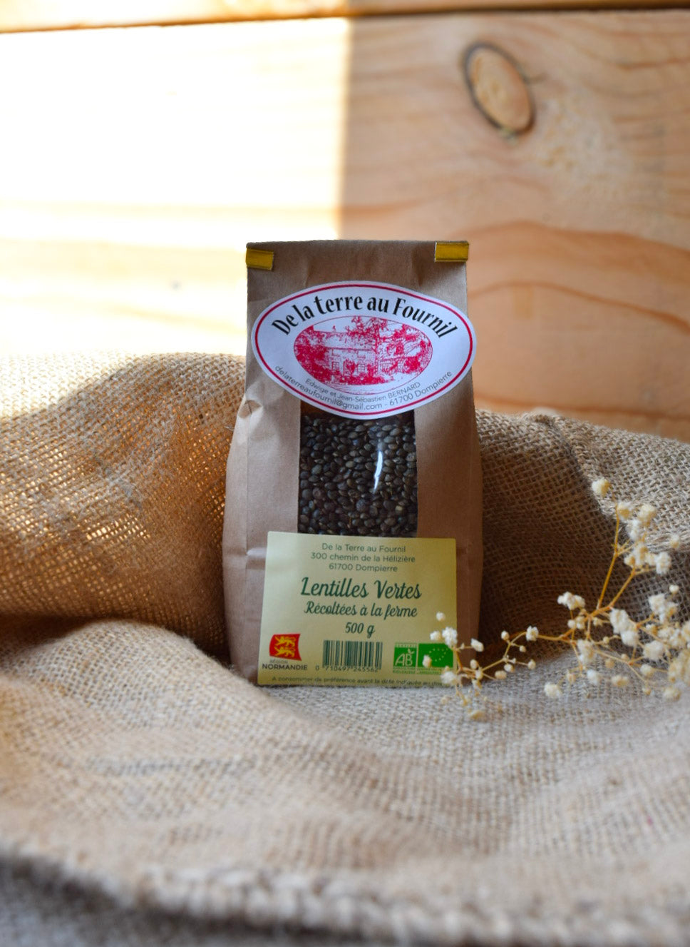 Lentilles Vertes BIO - 500g